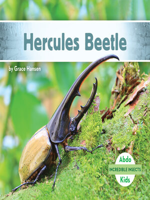 cover image of Hercules Beetle